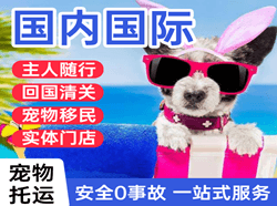 长安机场空运国际宠物托运 【国